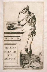 Anatomische Studie, von Domenico Maria Bonavera
